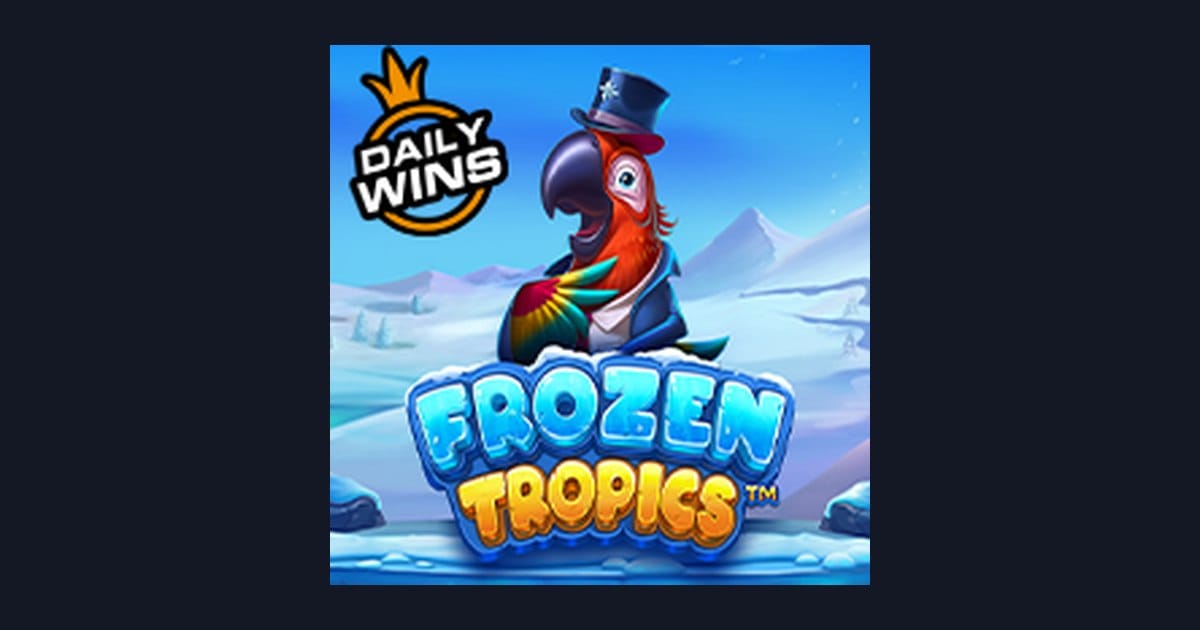 Frozen Tropics: Slot Online untuk Pemula dengan Tips & Cara Membaca RTP
